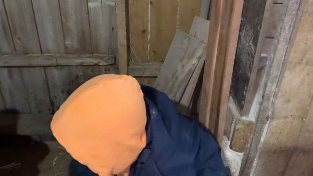 Сарай для свиней: шлифуем бетон делаем окна! Помощники!