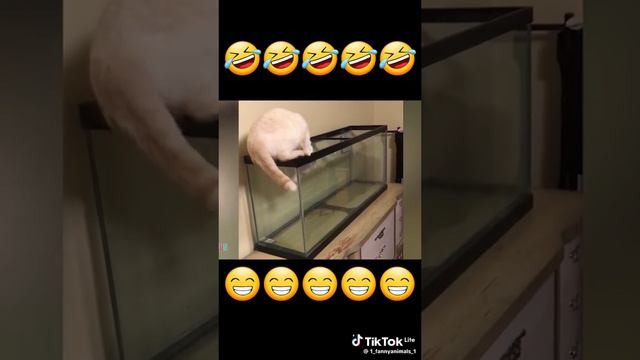 2050743a9c58d4fe5afd23514e53d146