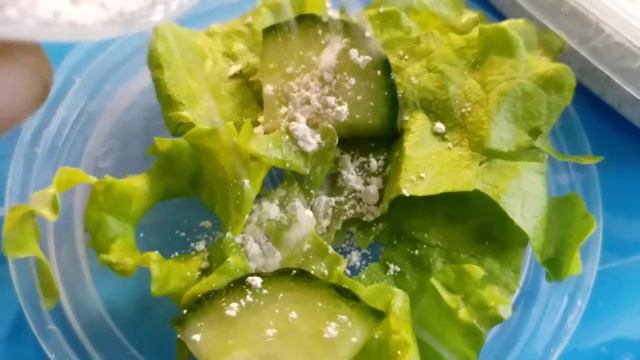 4837b7e080053037acc2666f11b7833f