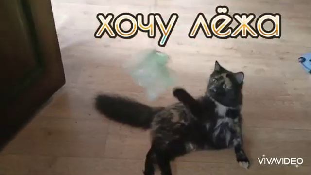 Хочу играть лёжа !!!