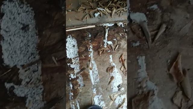 Ремонт терассы и нанесение гидроизоляции.