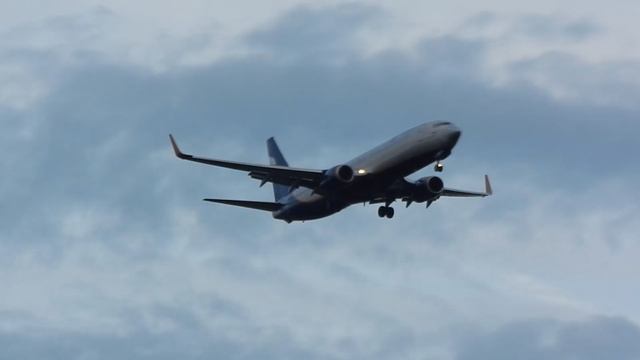 Boeing 737-800 Аэрофлот