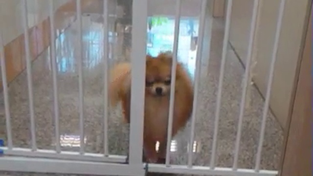 F738d12ea0862e562a9651aa3f4e1549