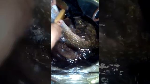 КАК БЕЗ ПРОБЛЕМ ПОЧИСТИТЬ ЩУКУ