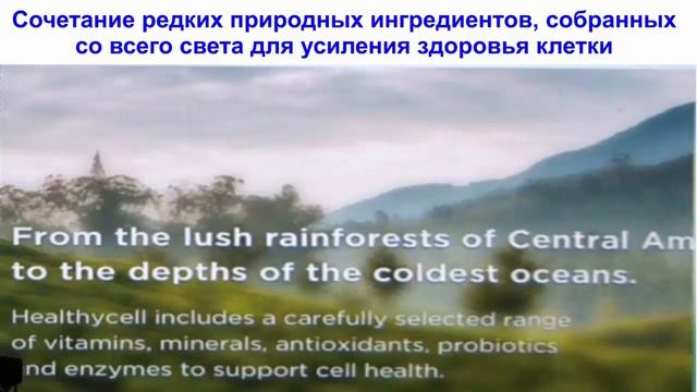 Д р Джиампапа о Системе Омоложения YES  Москва  Университет Jeunesse  21 02 2016