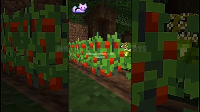 XL Food Mod Minecraft Mod #shorts