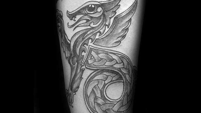 50 Celtic Dragon Tattoos For Men