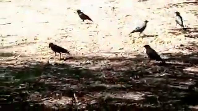 Eddecafd0d8c7b49da2e95c28264e9c3