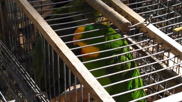 Ed9490af912fa05ff62a3eaa92bebc51