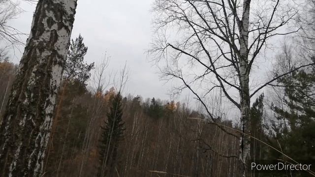 охота по Перу, добыт глухарь.