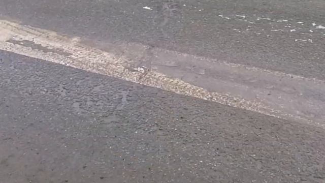 В аптеку за таблетками. Что там с редиской!? Печёночные оладики!