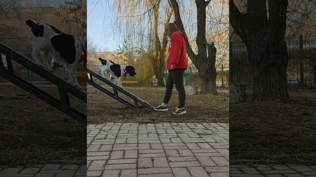 D60c40712beb08d19bdcb8302889fe8d