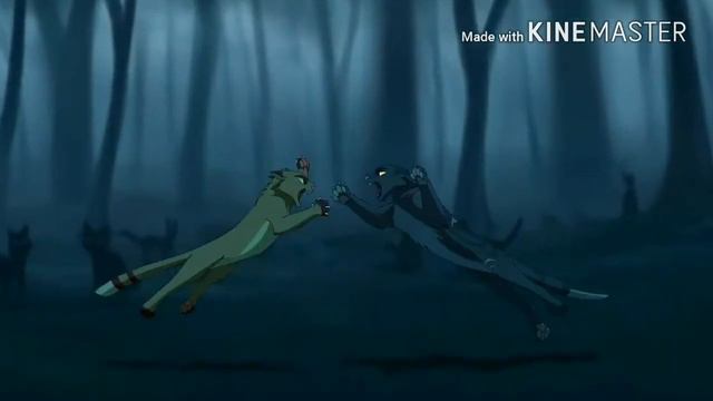 Коты-Воители : 