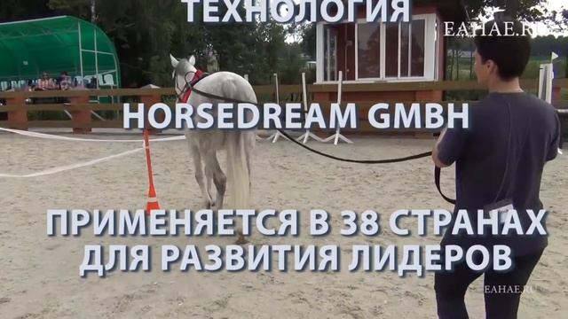 Работа в команде