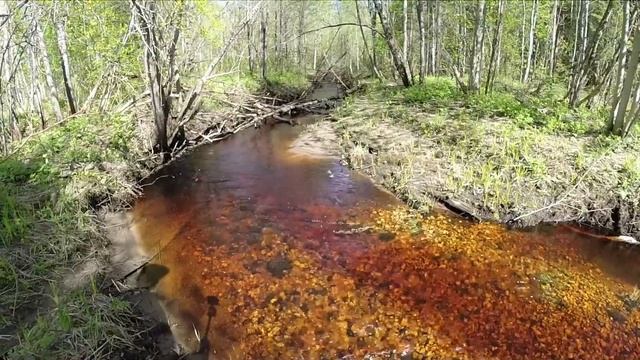 ПОХОДНЫЙ СУП в полене.