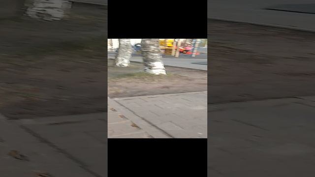 5ffc2a7cec6f73c3eba15b8771a9b143