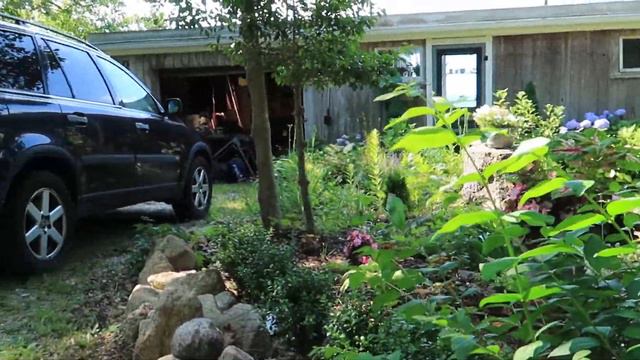 Garden Tour With Weeds| Embracing The Volunteers In Your Garden|MAKING A LIFE BY THE SEA