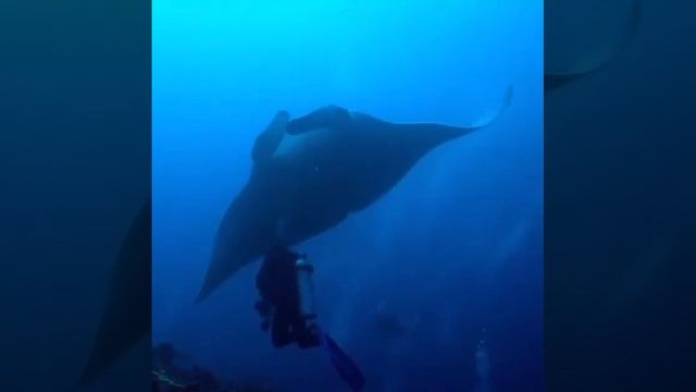 1121a43d01c1da3f6608487f606234b0