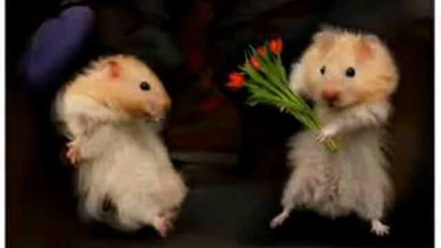 C7580d2938c0ae539f1c79e30ca0816d