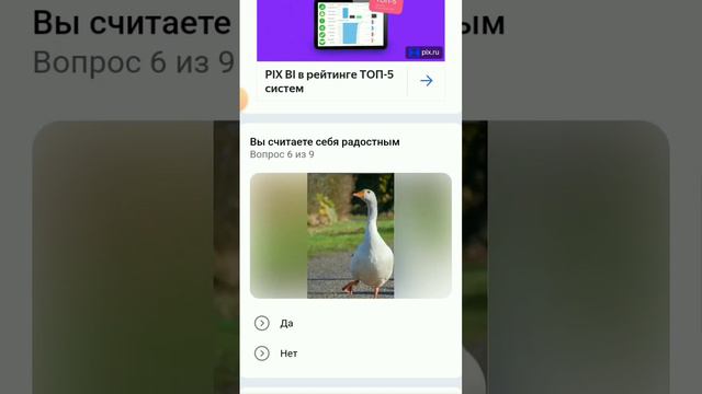 гусь тоша проходит тесты 