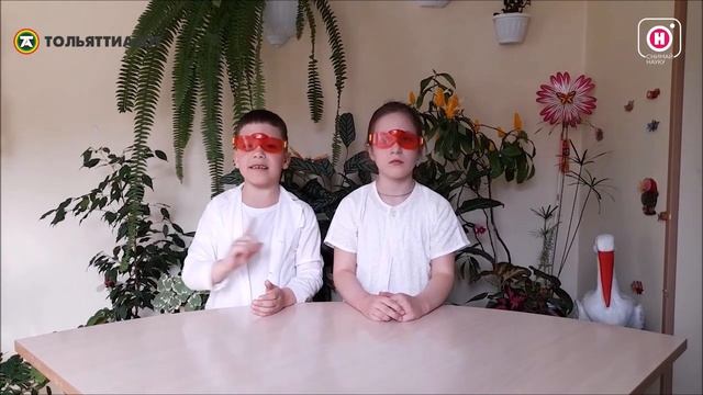 Автоматический полив комнатных растений