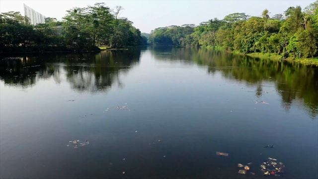 Relaxing Music 1 Hour : Meditation Music, Spa Music, Yoga Music ★84