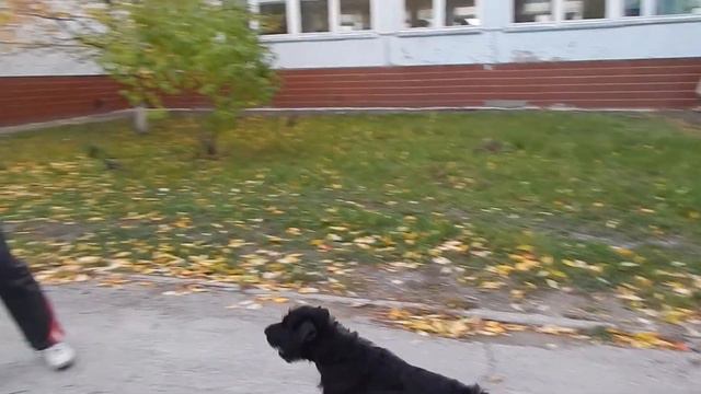 30592c097830bad57d730878fe228836