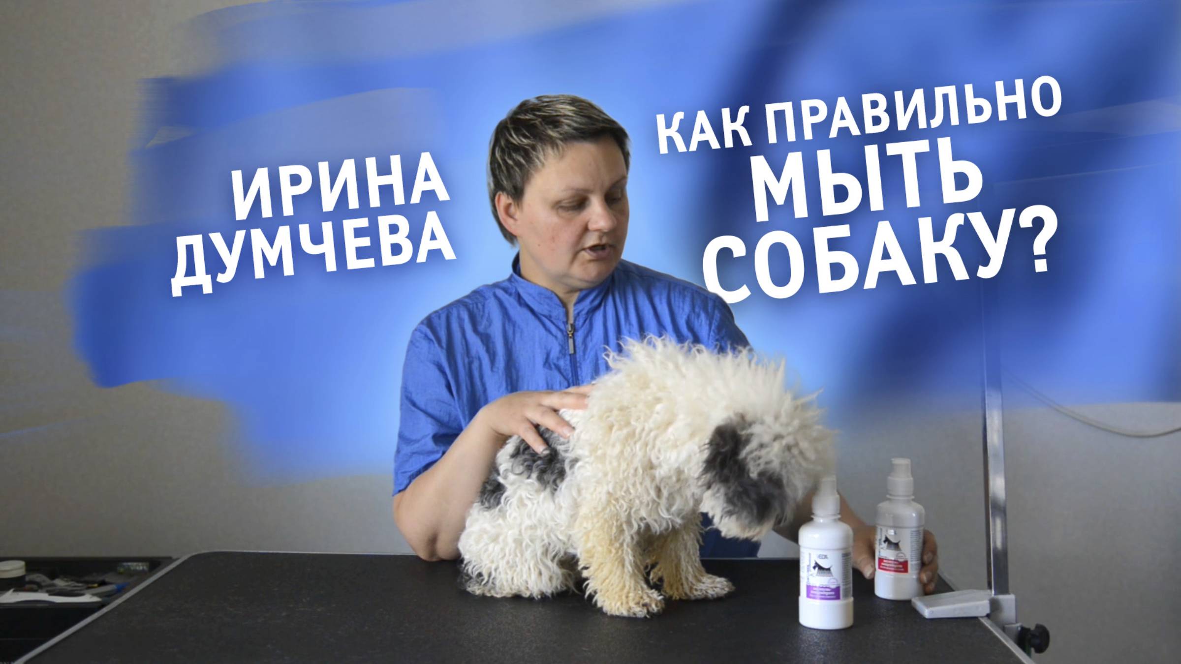 Как правильно мыть собаку? Рассказывает и показывает грумер Ирина Думчева.