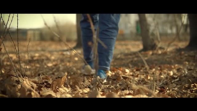 Социальный ролик 