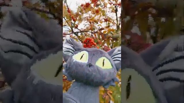 E166e66ef67d28814e1f7791e54c5abb