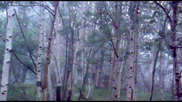 9967b997d7d63ad600f5752e2015d0f2