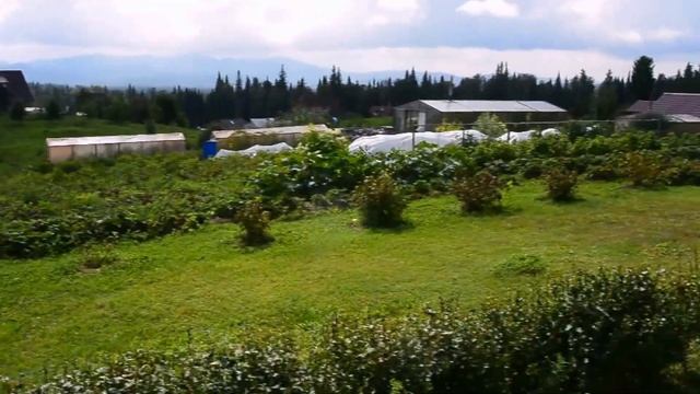 13e77ccd065a25795e43554cc2ac3ede