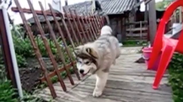 8b6fb20e01593fc68c75569ed5a81668