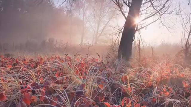 Dvorak - Romance In F Major For Piano And Violin, Op.11 (Peter Lang)