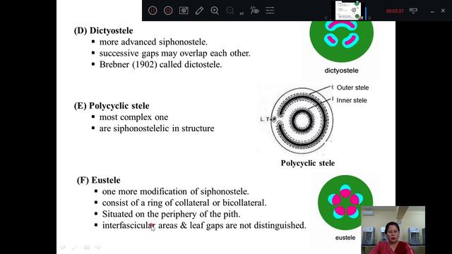 [Bot 2106:Survey Of Plant Kingdom II] Pteridophyta By Daw Htay Htay Win + Dr Khaing Thandar Tun