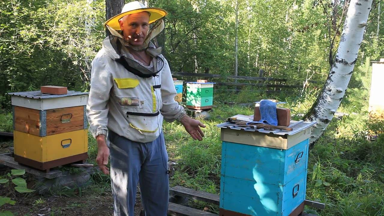 Отбираю мед сокращаю всех в 2 корпуса.