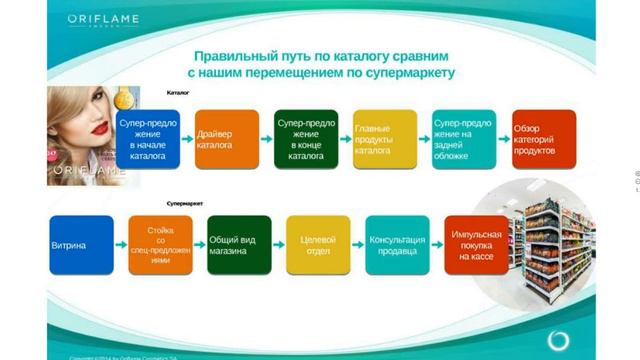 Веб Л Брагиной Успешная работа с каталогами.  110316