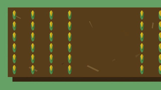 Results From Our First-year Back To Eden Garden: Corn, Beans, And Squash (Three Sisters Method)