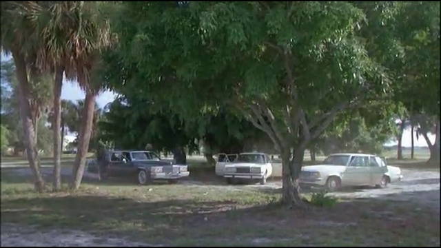 Cane E Gatto 1978 / КРАДЦИ И ДЖЕБЧИИ ЧАСТ 2