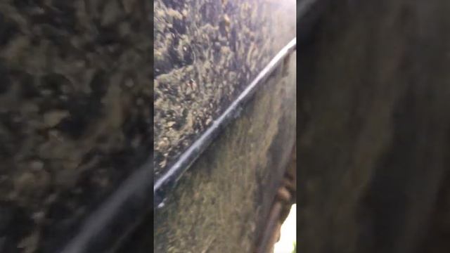 Детали, создающие атмосферу