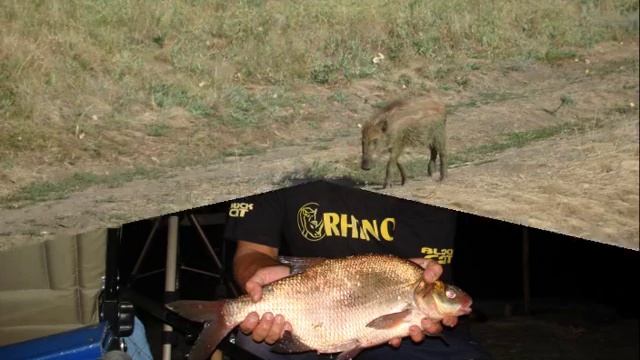 Эх ,рыбалка моя