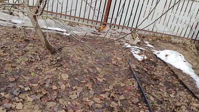 Весна пришла ко.ид принесла. Жизнь продолжается.