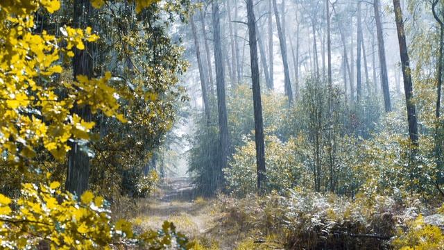 7cf1240aa0d0b4d7dc919a58ad2460d9