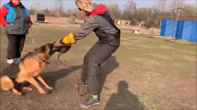 Де Орсе мак Флай Зума