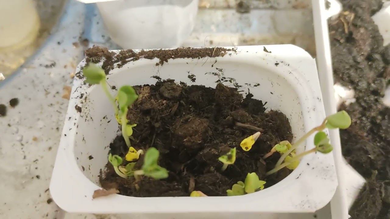 6bcee84bd9c7260761d70cc05cdfc13b