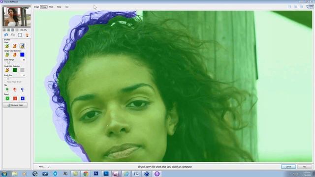 Masking Hair And Fur With Topaz ReMask