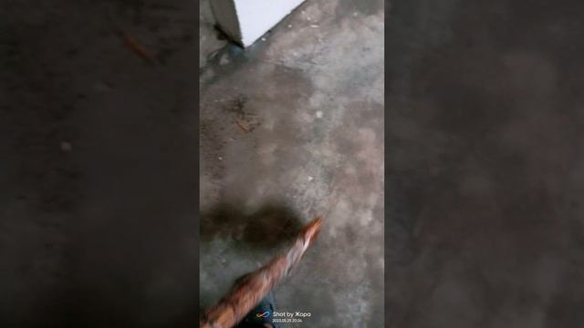 Вот так будет правильно, когда наливной пол заливайте! ?