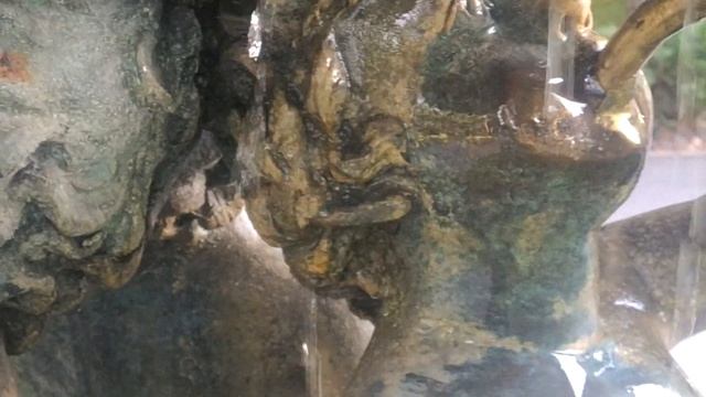 Чарующие звуки фонтана. Звуки воды