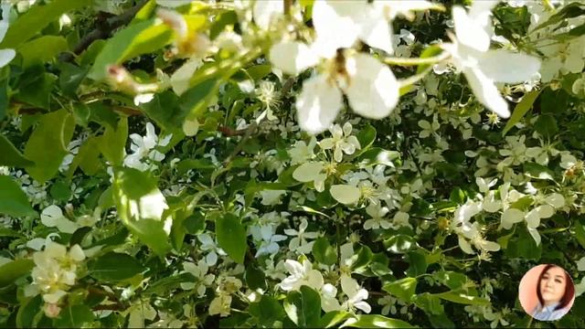 Нескучный пэчворк. Учимся сочетать цвета и оттенки