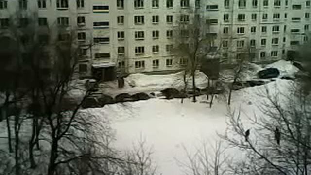 улица запись со скрытой камеры